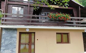 Apartman Zebra